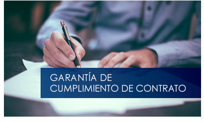 garantia-cumplimiento-contrato-thumbnail-biblioteca.png